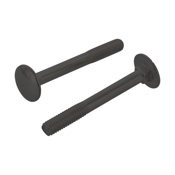 Schlossschraube DIN 603 (Flachrundschraube) Edelstahl A4 Schwarz